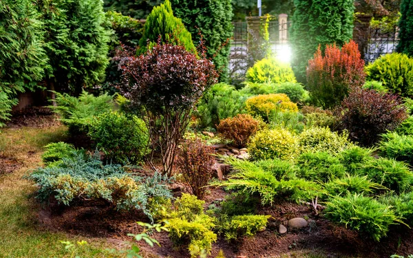 Stenparti i trädgården med stenar och mängd olika blommor och växter — Stockfoto