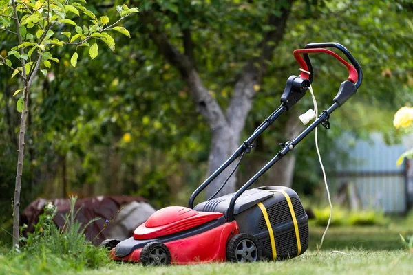 Bahçedeki bir çimenlikte çim biçme makinesi, bahçe işleri. Manzara, Terrai