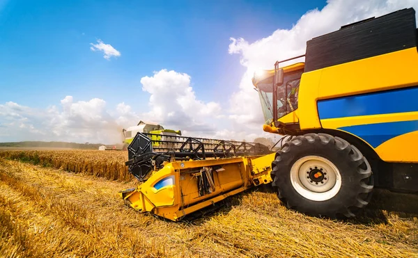 La raccolta dei cereali si combina in una giornata di sole. Campo giallo con grano — Foto Stock