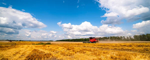 Combinar la cosechadora en acción en el campo de trigo. Proceso de recolección de cultivos maduros de los campos. Panorama de granito maduro —  Fotos de Stock