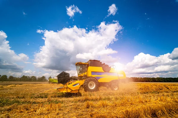 Combinar la cosechadora en acción en el campo de trigo. La cosecha es el pr —  Fotos de Stock