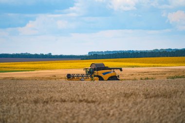 Tarlada tahıl toplama ekipmanları. Tarım sektörü. Hasat, tarlalardan olgun mahsulleri toplama sürecidir..