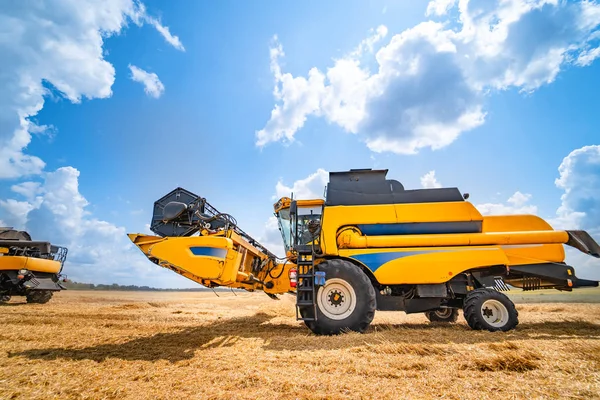 Panorama de culturas maduras. Reunião de cereais. Máquinas pesadas, céu azul acima do campo . — Fotografia de Stock