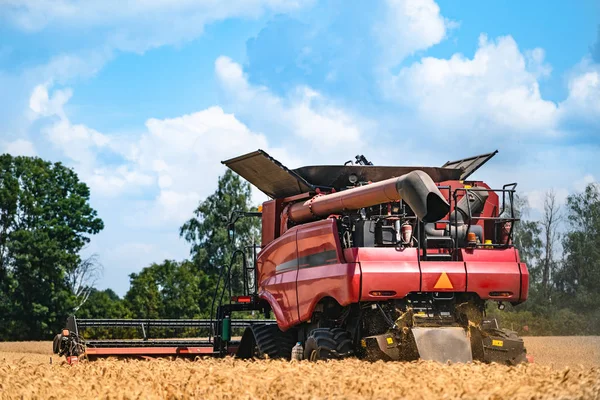 Mähdrescher im Einsatz auf dem Weizenfeld. Reife Ernte von den Feldern ernten. — Stockfoto