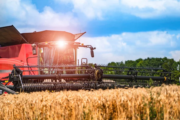 Rote Getreideernte an einem sonnigen Tag. gelbes Feld mit g — Stockfoto