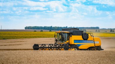 Tahıl hasat hasat birleştirmek