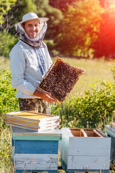 De imker werkt met bijen en bijenkorven op de bijenstal. Bijenhouder op bijenstal. — Stockfoto