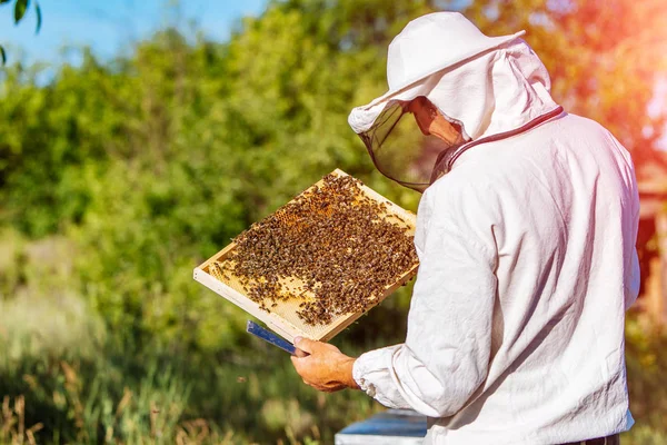 De imker werkt met bijen en bijenkorven op de bijenstal. Bijenhouder op bijenstal. — Stockfoto