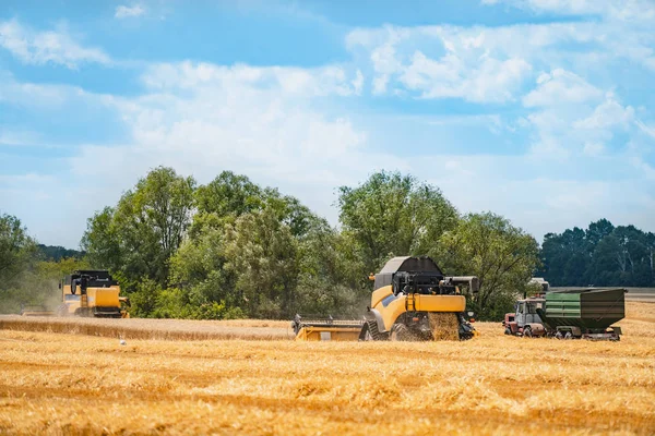 Combinar la cosechadora en acción en el campo de trigo. Proceso de recolección —  Fotos de Stock