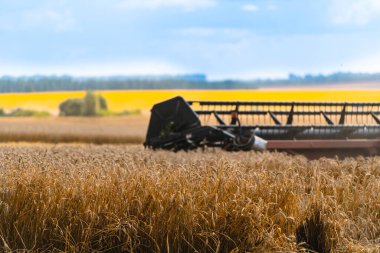 Buğday tarlasında çalışan hasatçıyı birleştirin.