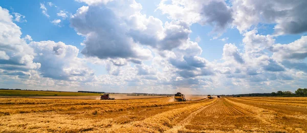 Equipo de cosecha de granos en el campo. Tiempo de cosecha. Sector agrícola —  Fotos de Stock