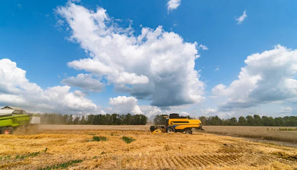 Cosechadora combinar la cosecha de trigo en el campo agrícola en el sol —  Fotos de Stock