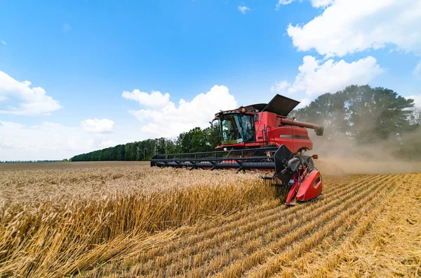 Mähdrescher bei der Arbeit auf einem Weizenfeld — Stockfoto