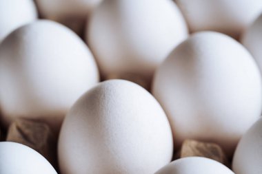 Karton ambalajda ev yapımı organik yumurta. Beyaz yumurta. Yakın çekim.