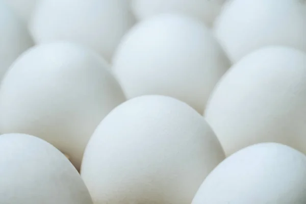 Uova di pollo in scatola di cartone isolata su sfondo bianco. Primo piano — Foto Stock