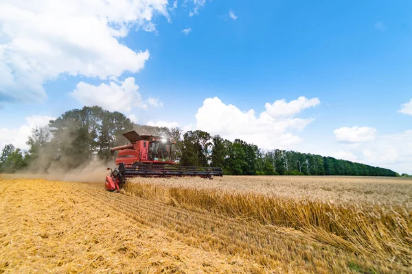 Getreideernte Einem Sonnigen Tag Gelbes Feld Mit Getreide Landtechnik Arbeitet — Stockfoto