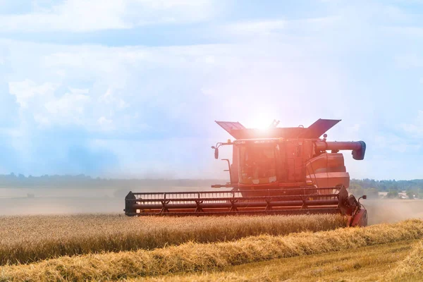 Erntehelfer Bei Der Ernte Eines Weizenfeldes Getreideernte Einem Sonnigen Tag — Stockfoto