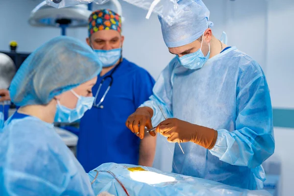 Gruppo Medici Esegue Operazione Paziente Chirurghi Uniforme Medica Maschere Che — Foto Stock