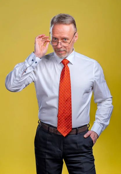 Retrato Hombre Mayor Con Gafas Hombre Mirando Cámara Hombre Negocios — Foto de Stock