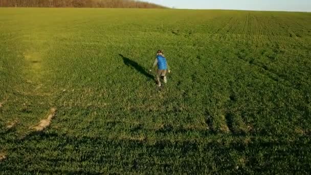 Kleiner Junge Blauer Weste Läuft Mit Dem Rücken Ins Feld — Stockvideo