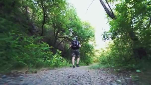 Sırt Çantalı Gezgin Ağaçların Kayaların Arkasındaki Patikada Yürüyor — Stok video