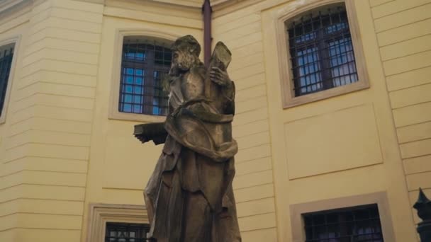 Vue Statue Sauge Avec Livre Dans Ses Mains Sur Fond — Video