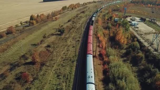 Lungo Treno Merci Con Materiali Costruzione Muove Ferrovia Sullo Sfondo — Video Stock