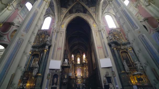 Catedral Asunción Santísima Virgen María Catedral Interior — Vídeos de Stock