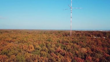 Ormanın arka planındaki televizyon kulesinin hava görüntüsü. Kamera hareketi yukarı