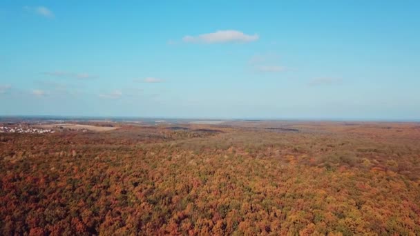 Vista Aérea Paisagem Outono Parque Fundo Céu Azul — Vídeo de Stock