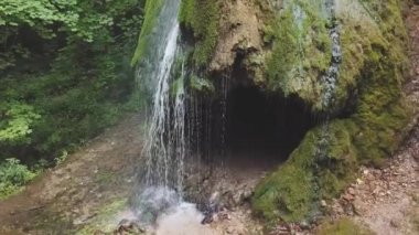 Yazın ormanın ortasında yüksek bir şelale manzarası. Su yosun kaplı bir kayadan akar. Kamera hareketi yukarı