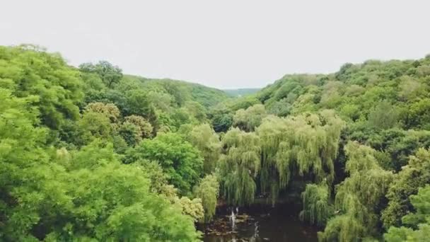 Θέα Στη Λίμνη Δάσος Γύρω Αεροφωτογραφία Γραφικό Τοπίο Κινήσεις Κάμερας — Αρχείο Βίντεο