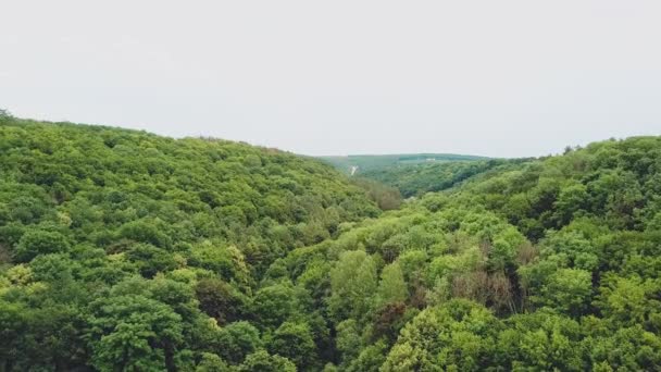 Spectacular Landscape Green Hills Forests River Them Aerial View Camera — Stock Video