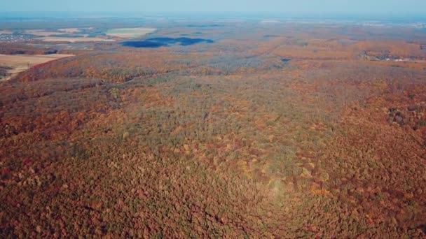 Paesaggio Foresta Autunno Altezza Bellezza Della Natura Vista Aerea Movimento — Video Stock