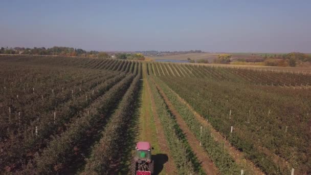 Appeloogst Bestuurder Van Trekker Vervoert Aanhangwagens Met Appels Houten Kisten — Stockvideo