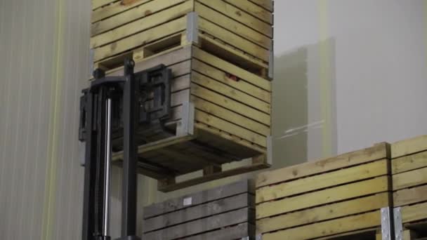 Medewerker Elektrische Vorkheftruck Draagt Container Met Rijpe Appels Naar Binnen — Stockvideo