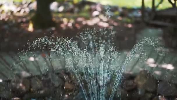 Vodní Fontána Fontána Zahradě Kapky Vody — Stock video
