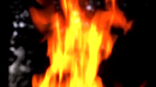 Bonfire Slow Motion Real Fire Flame Black Background — Stock Video