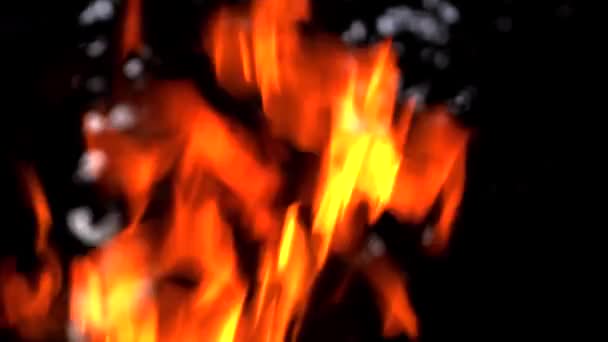 Siyah Arka Planda Yangın Alevi Karanlıkta Ateş Yavaş Çekim — Stok video