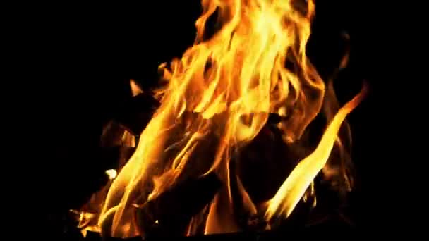 Hoguera Fuego Enciende Noche Movimiento Lento — Vídeos de Stock