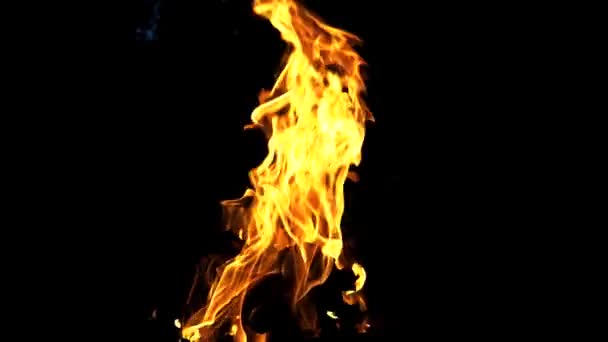 Slow Motion Fire Bonfire Dark Closeup — Stock Video