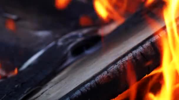 Lángoló Tűz Fényes Égő Lassított Felvétel Láng Élő Szén Fröccsenése — Stock videók
