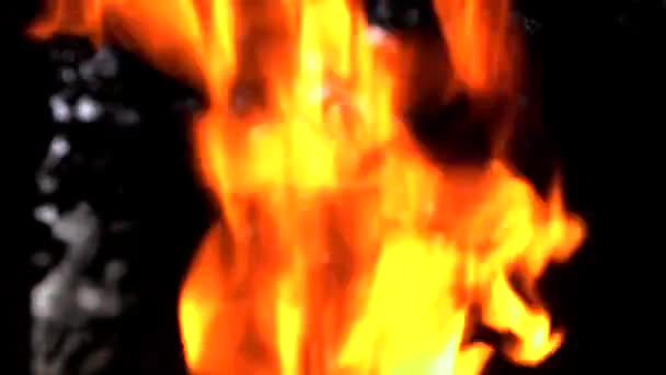 Zwolniony Ruch Ognia Przy Ognisku Ciemności Zbliżenie — Wideo stockowe
