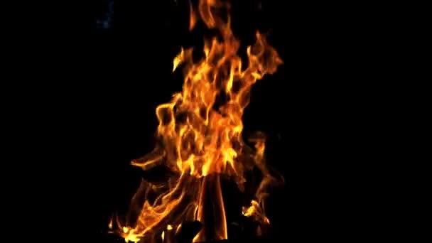 Lagerfeuer Das Feuer Wird Der Nacht Entzündet Zeitlupe — Stockvideo