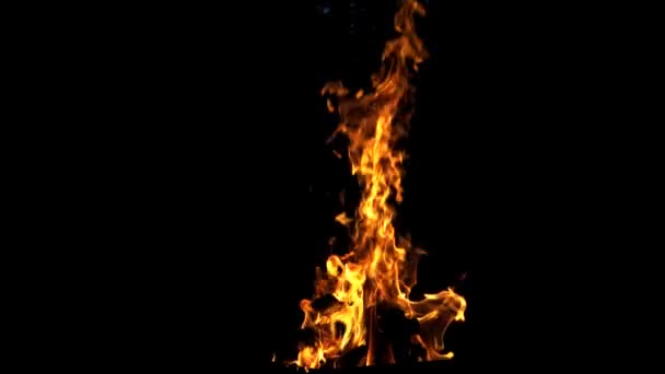 Горящий Огонь Пламя Огня Черном Фоне Медленное Движение — стоковое видео