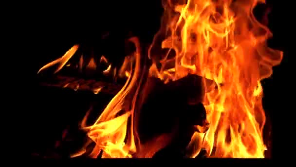 Jasně Hořící Dřevo Zpomaluje Oheň Bonfire — Stock video