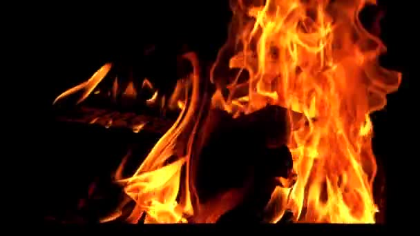 Bright Burning Wood Slow Motion Fire Flame Bonfire — Stock Video