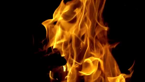 Feu de camp brûlant la nuit. Allumez la flamme au ralenti. Concept de camping et passe-temps actif .