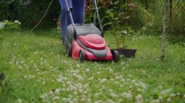 Kırmızı çim biçme makinesiyle çimlerini biçen ve yeşil çimleri biçen bir kadın. Çimleri biçmeyi bitirene kadar çim biçme makinesine binmeye devam edecek..