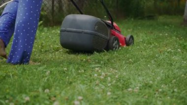 İnsan, yazın bahçedeki patikanın yakınındaki çim biçme makinesinin işini kontrol ediyor. Çim biçme makinesi sürekli olarak çim biçiyor.